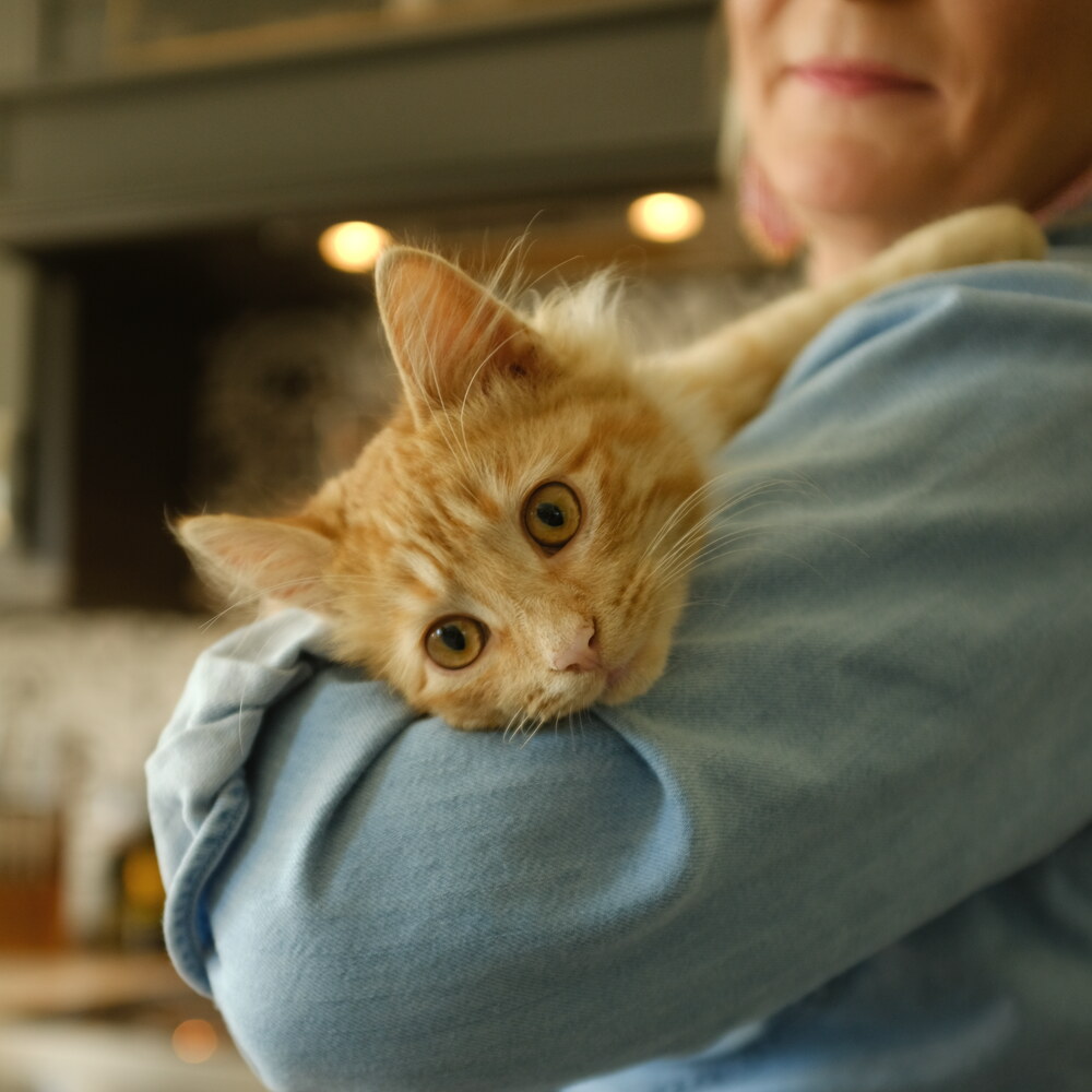An orange cat tucked over Sarah’s shoulder