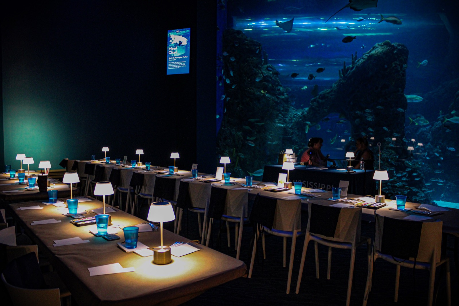 A watercolor workshop set up under the reef tank at the Mississippi Aquarium