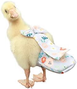 Washable chicken and duck diapers for poultry