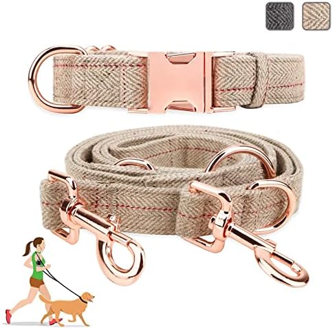 Rose gold dog collar and matching leash set