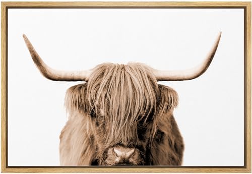 Framed canvas print of a brown highland cow close-up