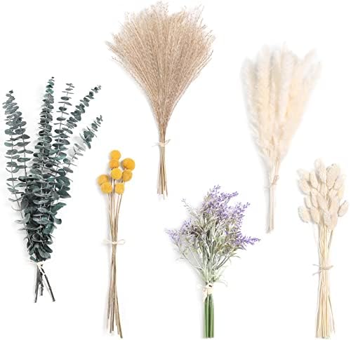 Serra Flora dried pampas, eucalyptus, and bunny-tail stems