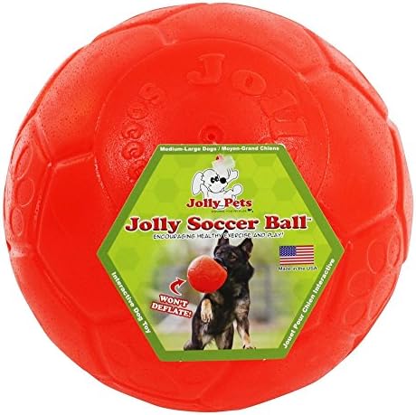 Jolly Pets soccer ball dog toy, 8-inch